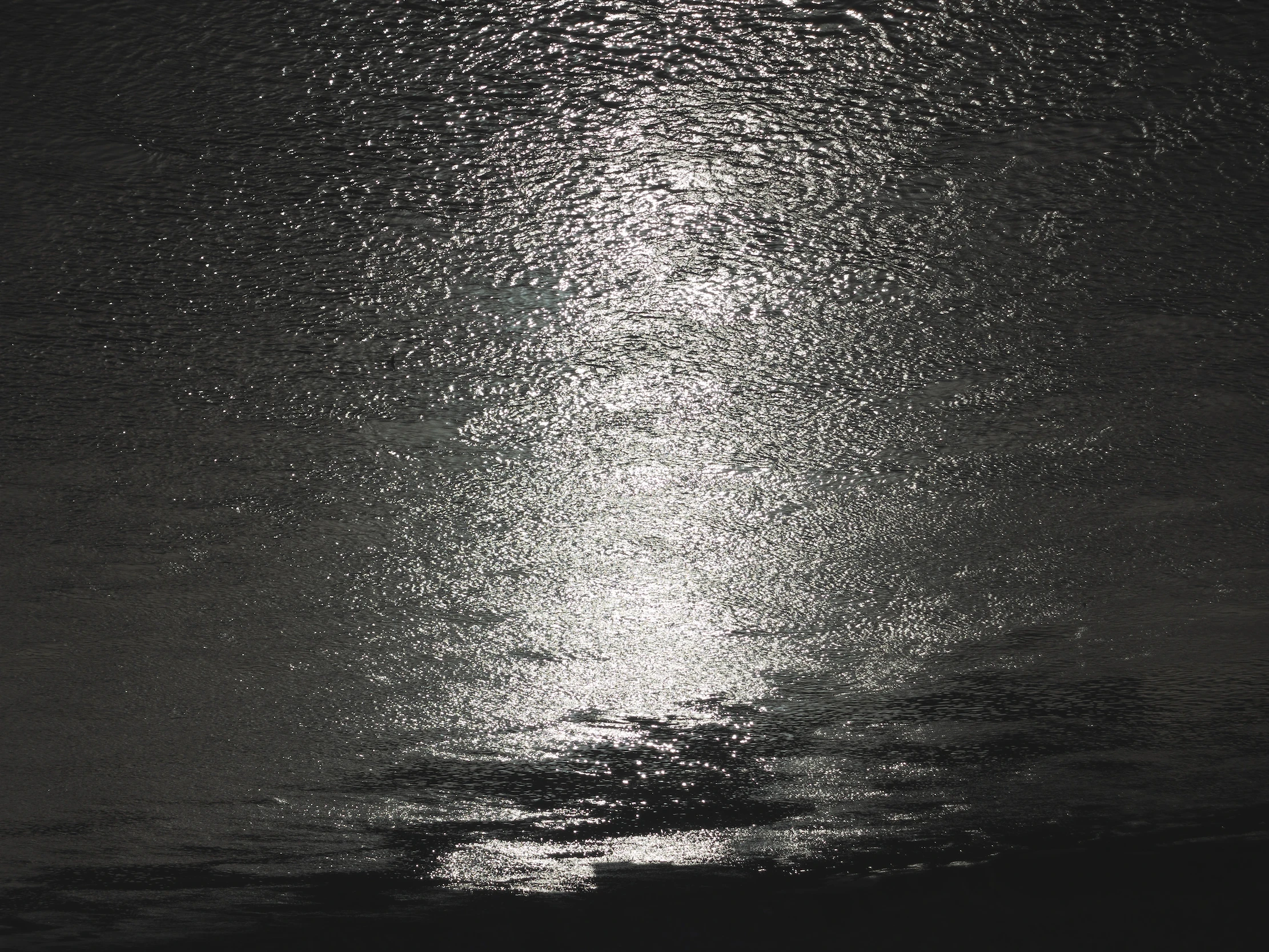 El Ebro (Mora la Nova) - 2022 - Marco Noris